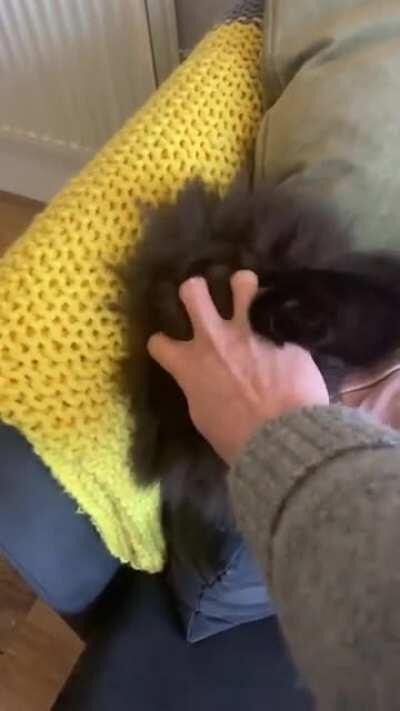 Was suggested this sub for my danger cushion.