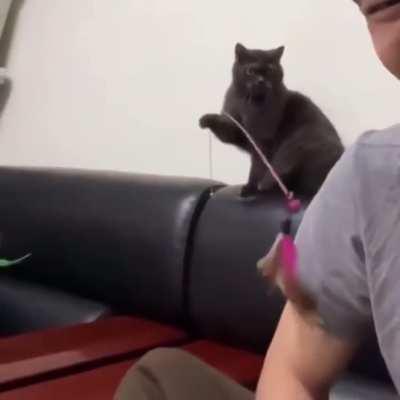 It's your turn to slap