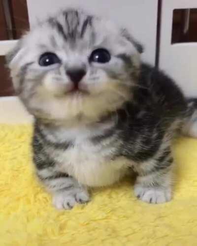 what a little sweetie