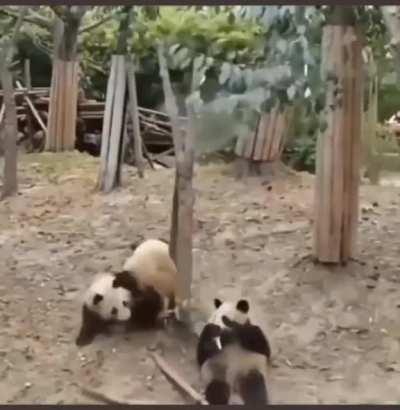 to have sex while the kids sleep