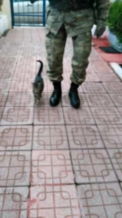 This kitten born and raised on a Turkish military base marches with the soldiers