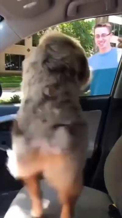 Shake Señora, shake!