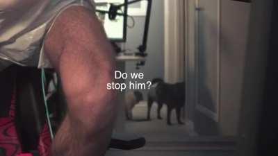 Maya and Edgar's perspective.