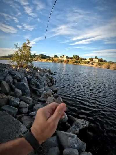 This is why you work it all the way back to shore