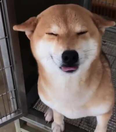 Did you smile today?