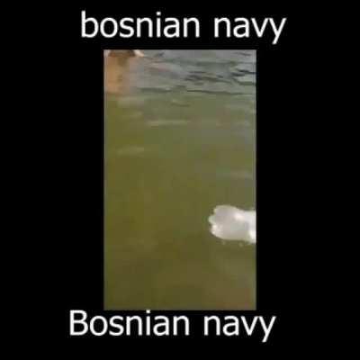 cope cringe serboids 🇧🇦🇧🇦💪💪 bosnia superpwoer by 2030 💪🇧🇦