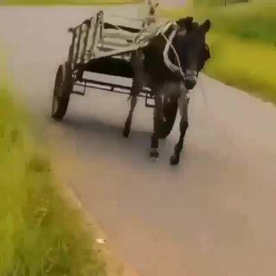 Top exclusividades do Brasil: