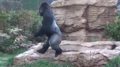 Abim banyoya gidiyor.