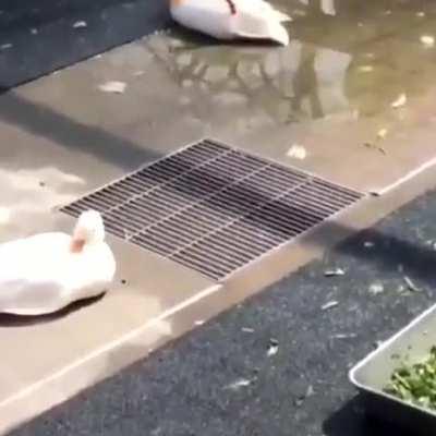 Taking in the sun where it’s needed most.