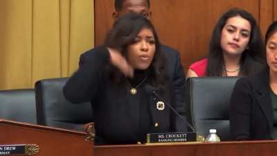 Rep. Jasmine Crockett fired back at AG Pam Bondi over Fox News comments on Elon Musk and Tesla during a House Judiciary hearing