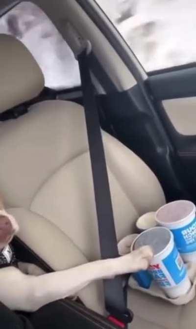 Someone has to hold them…