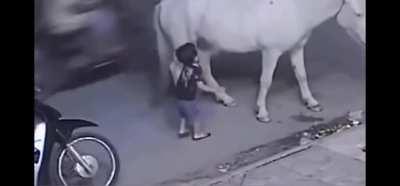 Dont mess with a horse after it gave you a warning