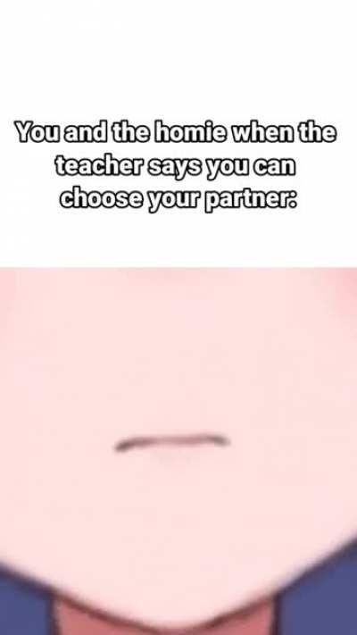 (･v･) \(･◡･)/