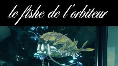 le fishe de l'orbiteur