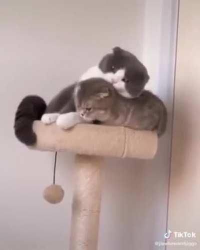 I like your place, it's mine now.