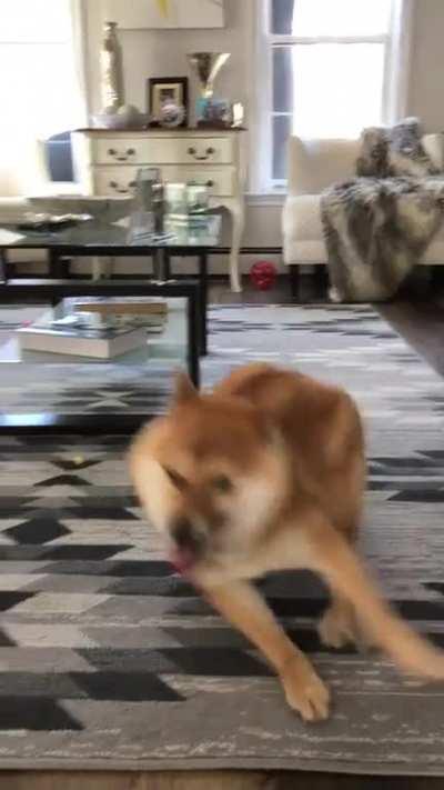 Look what I can do🌪⚡️😁🌪⚡️🌪😁🌪⚡️🌪😁😏