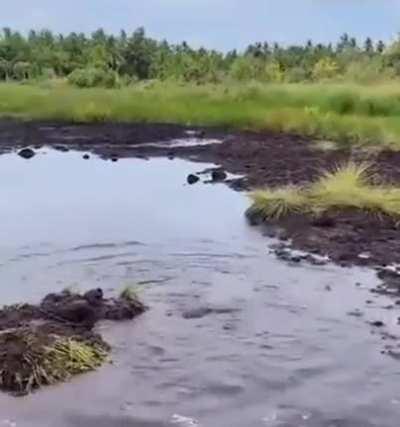 Developers diving into a company’s old codebase 🫣