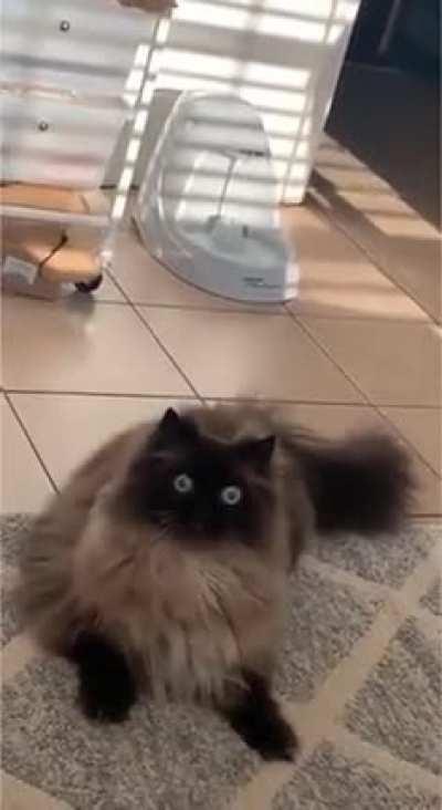 That was a seriously quick reaction time.