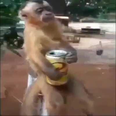 Mamaco pensando nela 😔