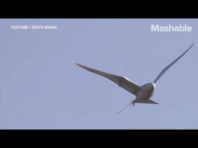 Do I even need to say anything?