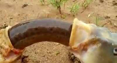 Кто-то писал что «Девушка хочет переехать к нему, к чему готовиться».