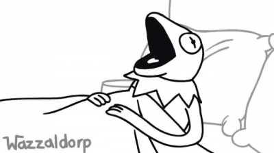 Kermit had a little accident!