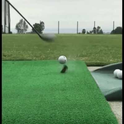 newton's first law demonstrated