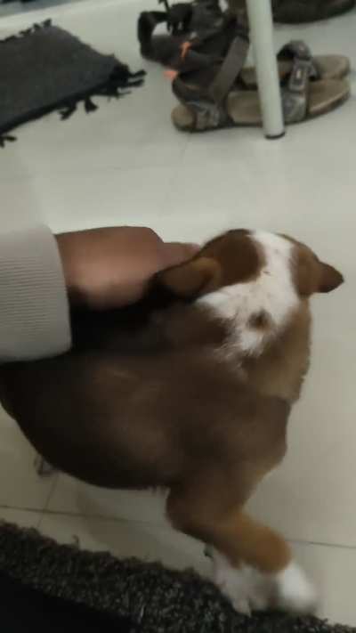 This guy followed me.