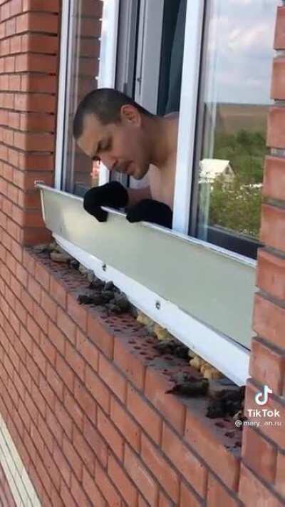 Thems ain't birbs...