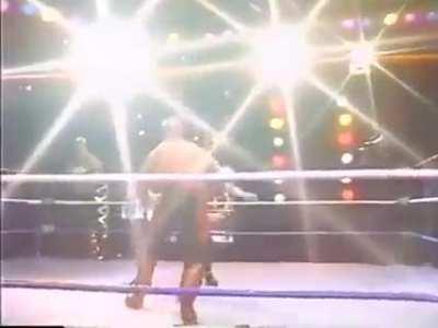 Arsenio Hall with possibly the most insane line ever said on commentary during a LOD/Nasty Boys match.