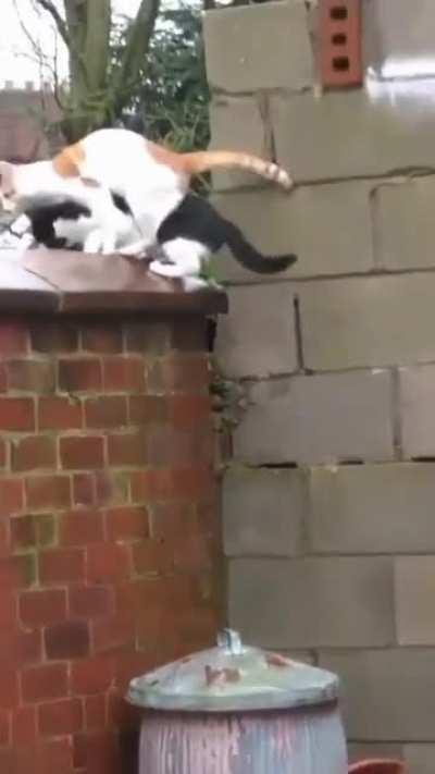 Actually kinda inpressive