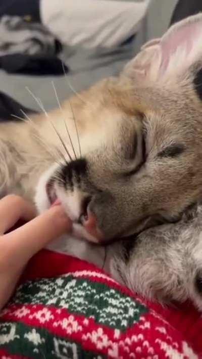 The sweetest thing I saw today