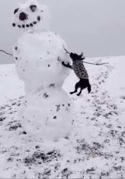 DiRE W0Lf fuCKiNg RiPS ARm 0fF tERRiFieD ESKiM0