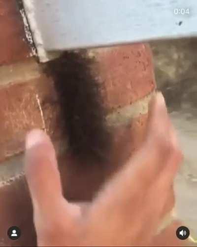 Thanks, I Hate Making Friends