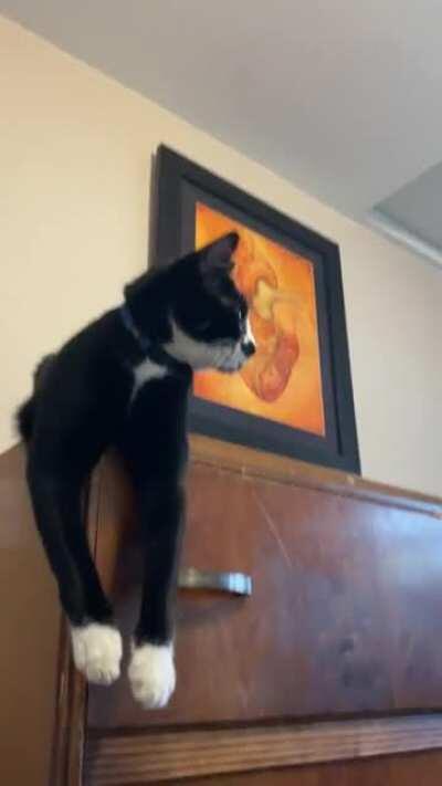 Greg being adorable during our morning playtime. ❤️