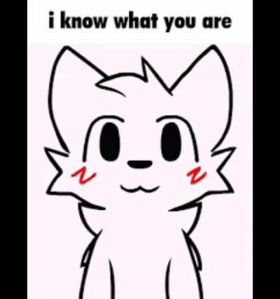 boykisser compilation :3