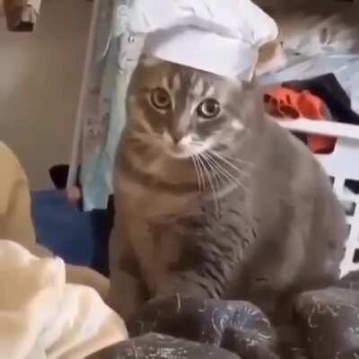 Welcome to the Bread Bank