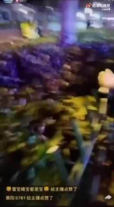 济宁交警直播中被冲卡汽车撞飞