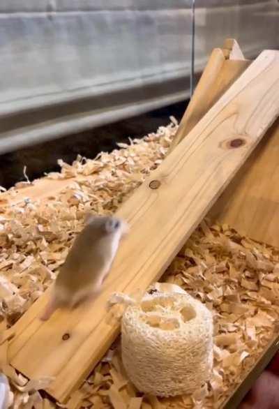 Никогда не сдавайся! (без звука, но финал того стоит)