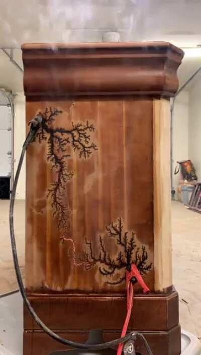 When wood meets electricity...