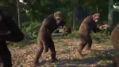 Sounds like skill issue