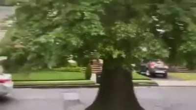 WCGW if a speed bump isn’t visible