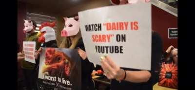 Vegans spreading their gospel