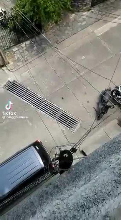 my rat people need me