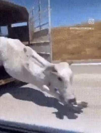 Would you J? 🙂‍↕️🙂‍↔️