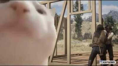 Meowdy partner! We all know the feeling.