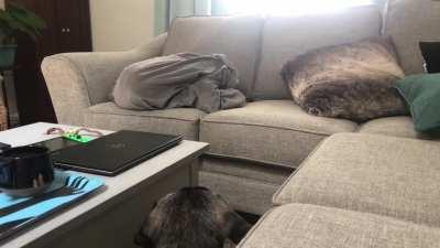 HMK while I escape this blanket