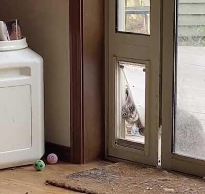 Человек, снимавший это видео, погиб при загадочных обстоятельствах