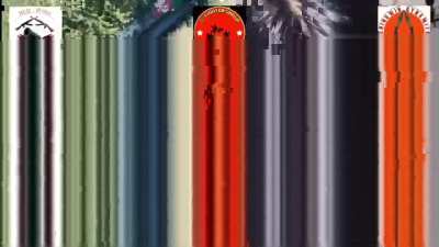 Various Myanmar/Burmese Anti-Junta Guerrilla Bands, including Red Wings Special Guerrilla Squadron, Chindwin Dynamite, and Fighter for Fredy, Attack Army Positions in Salingyi, Monywa District, Sagaing Region, for 4 hours (November 20-21)