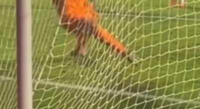 Novo ângulo mostra que não foi mão.